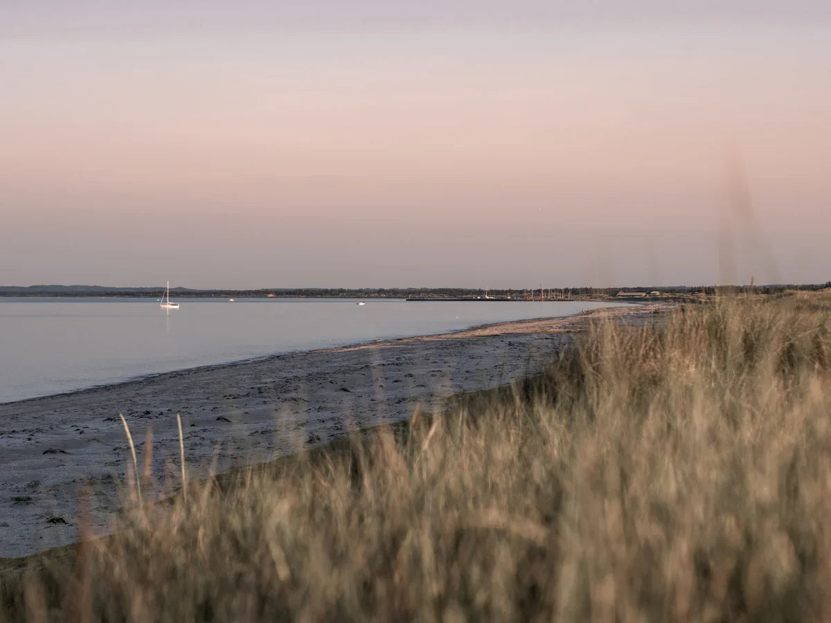 reconstruction flore intestinale