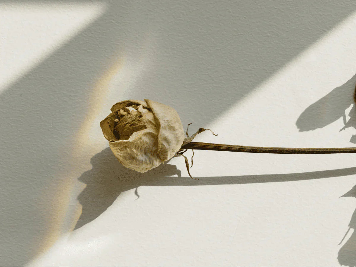 mycose vaginale récidivante - flore intime déséquilibrée