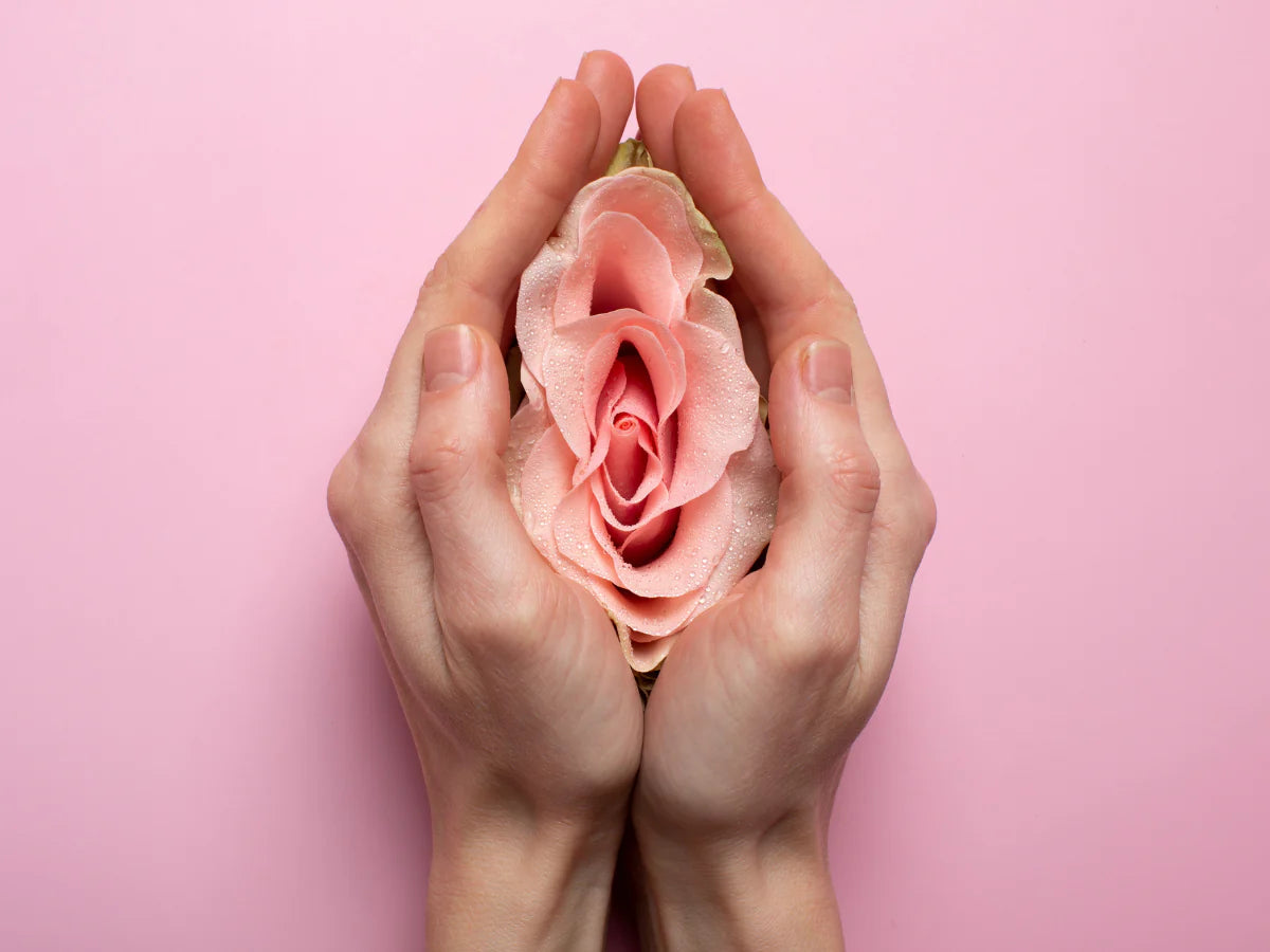 Mycose vaginale et traitement : Guide complet 2026