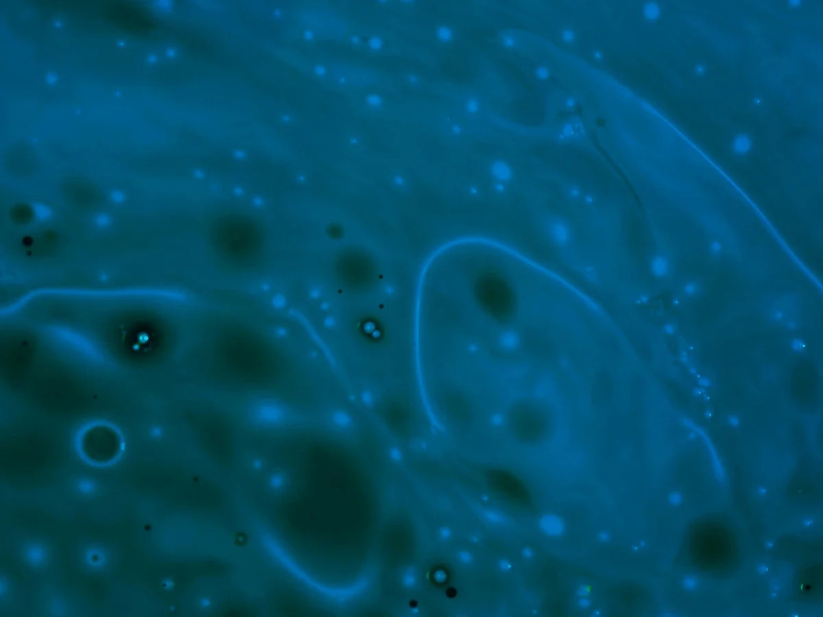 transplantation fécale