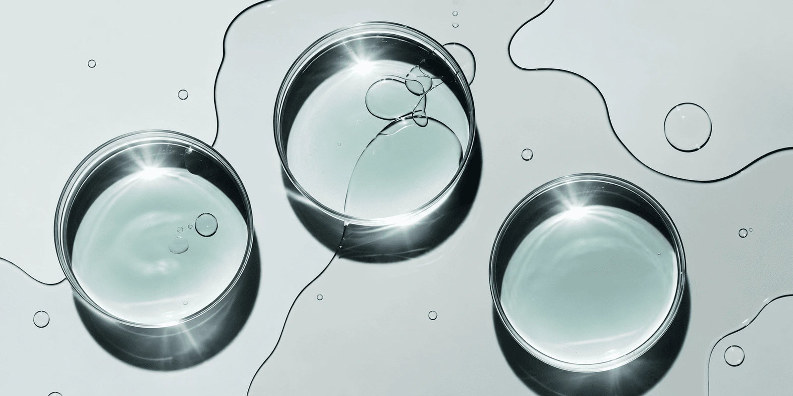 Bien acheter des probiotiques en France : le guide complet