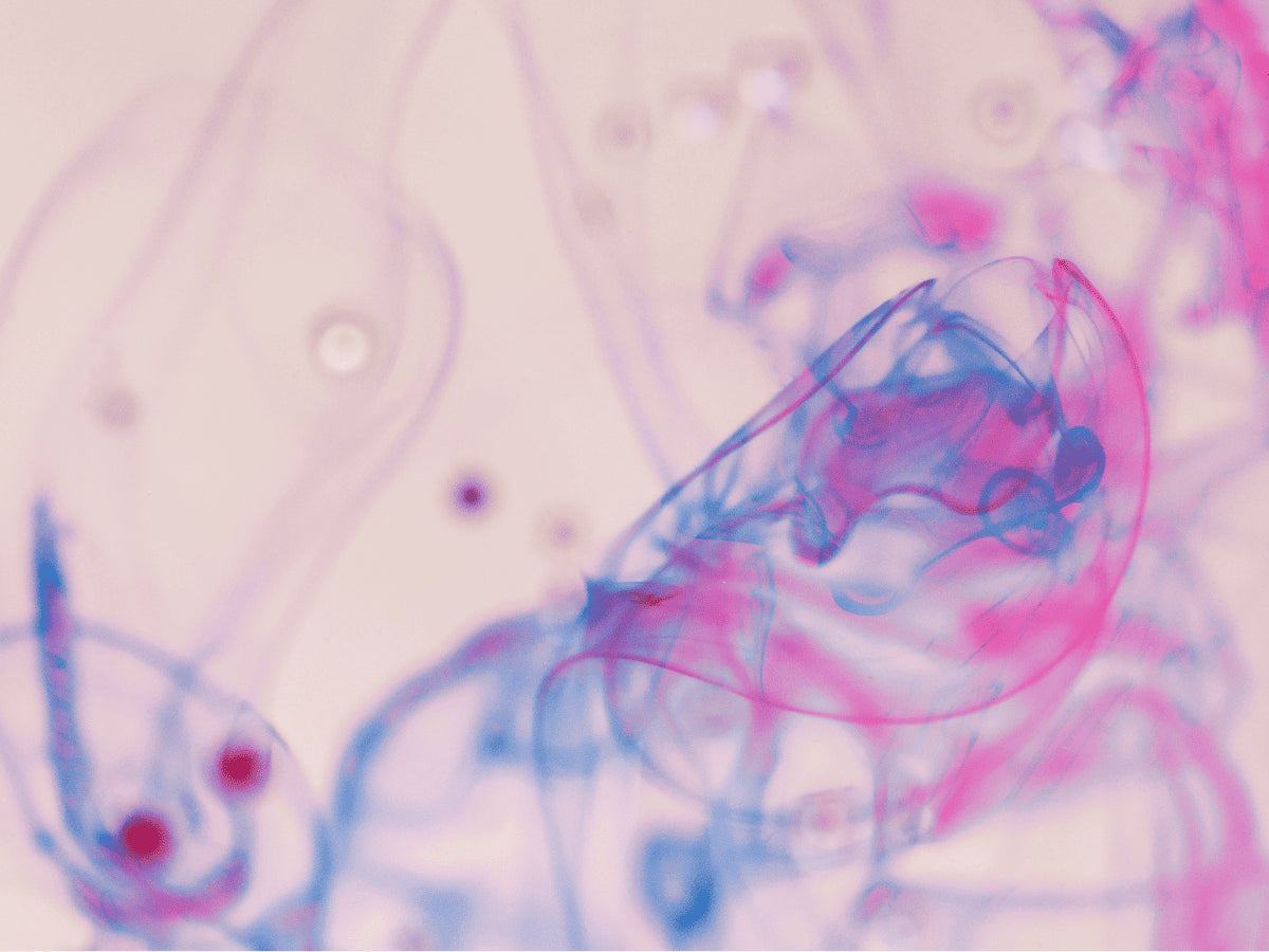 Probiotiques et sommeil : Le rôle méconnu du microbiote
